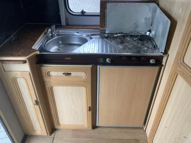 LMC Munsterland Dominant 431 P